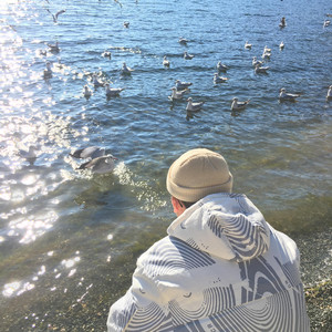 田渊正浩与左野由真主演电影有哪些
