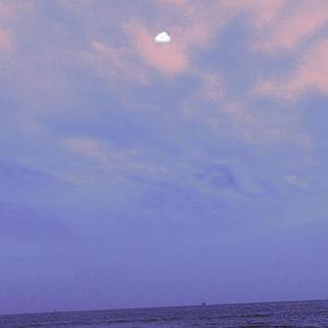 田渊正浩与左野由真主演电影有哪些
